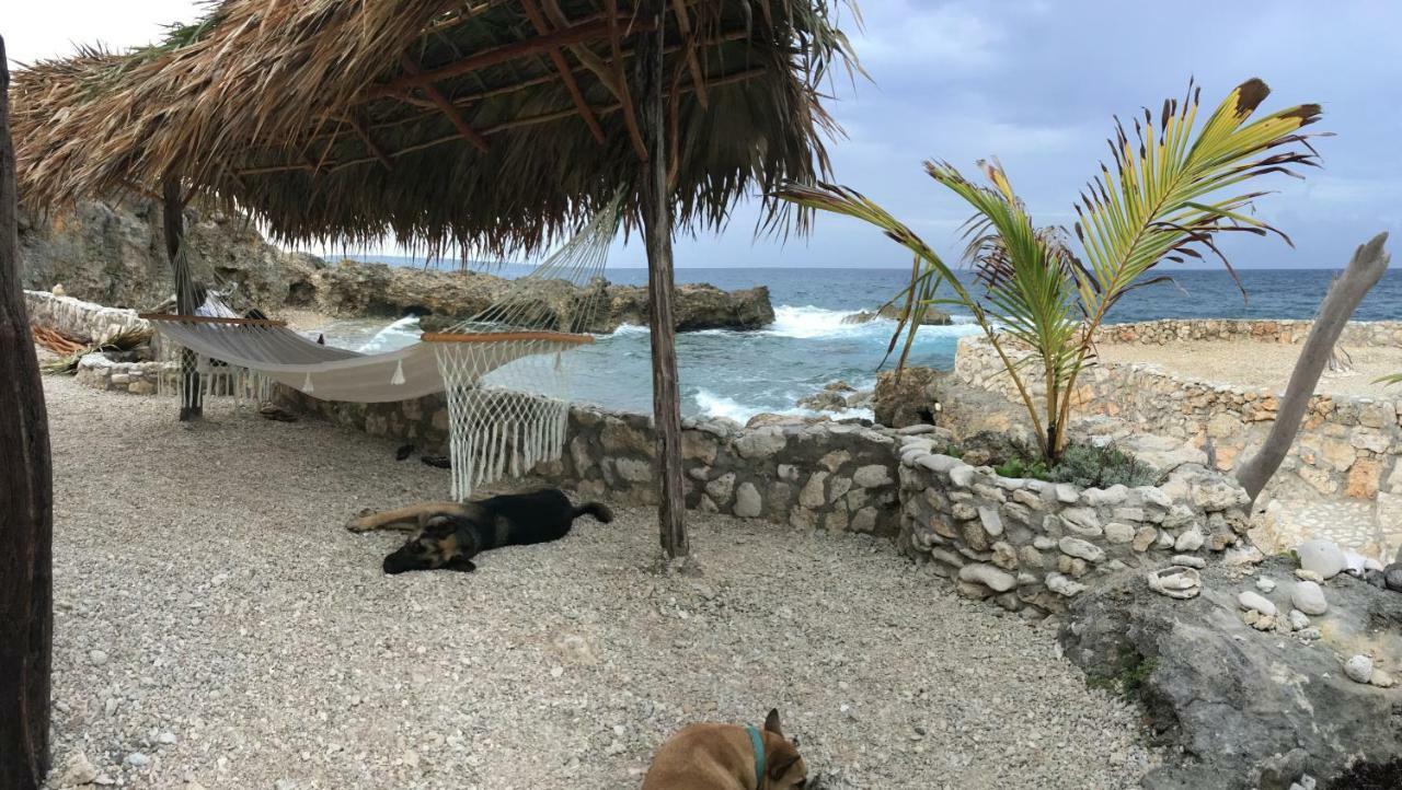 Forever Cottage Robins Bay Екстериор снимка